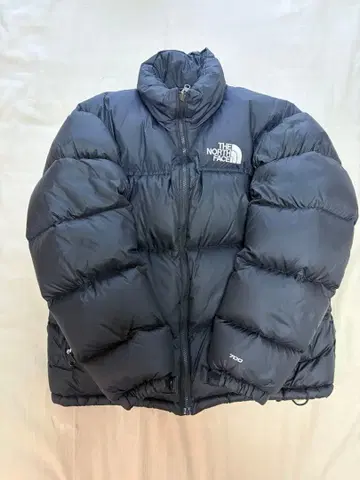 THE NORTH FACE 눕시 다운 자켓