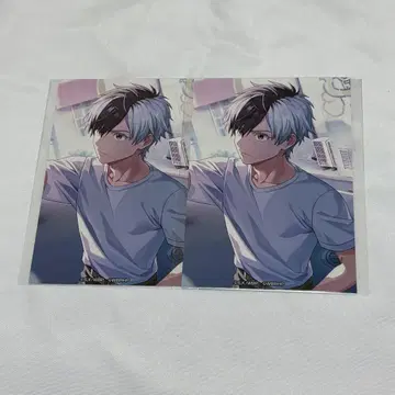 윈블 윈히로 사쿠라 하루카