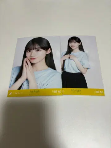 카와사키 벚꽃 쿠보 시오리 졸업 콘서트 브로마이드