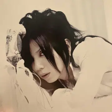 Addi Black Cherry Q.E.D. 팜플렛