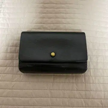 SAFUJI 코사이후 (L) 수주품