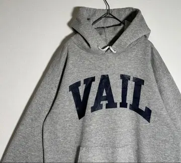 Hanes 헤인즈 VAIL 베일 프린트 속기모 후드티