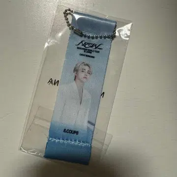 SEVENTEEN 에스크 플래그 키링 가챠