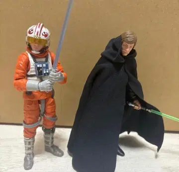 블랙 시리즈 루크 스카이워커 2체