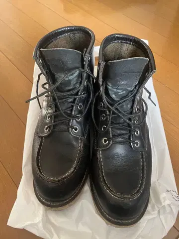 RED WING 아이리쉬 세터