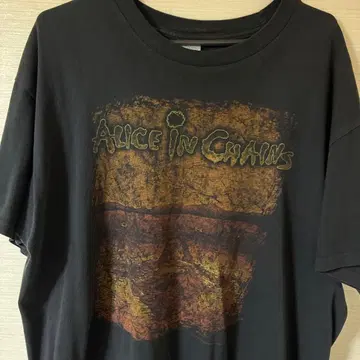 ALICE IN CHAINS 앨리스 인 체인즈 t셔츠 사운드 가든