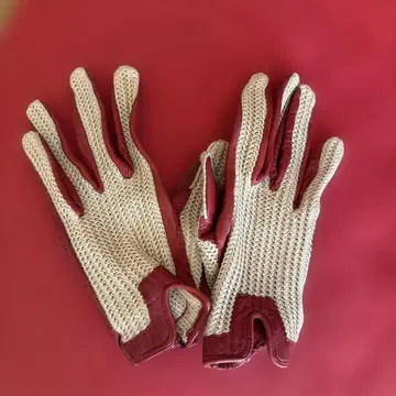 여성 장갑 베이지와 빨간색 롯폰기의 카 액세서리 가게 구매