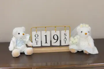 웨딩 접수 스페이스 세트 웨딩 베어 포함