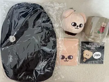 스트레이 키즈 5-STAR DOME TOUR 2023 굿즈 세트