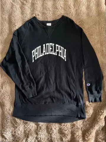 Champion 별주 가먼트 워시 리버스 위브 맨투맨