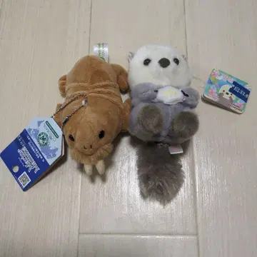 도바 수족관 랏코 바다코끼리 봉제 인형