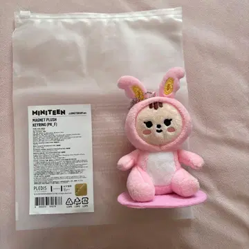 SEVENTEEN MINITEEN 마그넷 키링 정한 라무