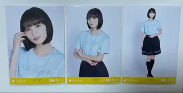 노기자카 브로마이드 엔도