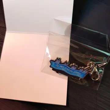 Mrs. GREEN APPLE 미세스 메탈 참 컬렉션 F