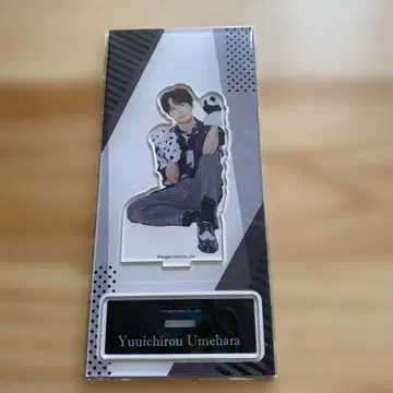 우메하라 유이치로 사진집 매실 빅 아크릴 스탠드