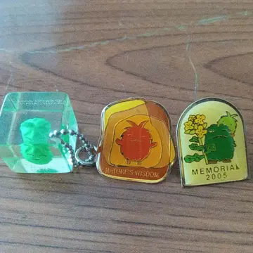 모리조 키콜로 아이 지구박람회 핀 배지 세트 2005년제