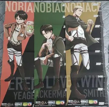 진격의 거인 노비 에이스 포스터