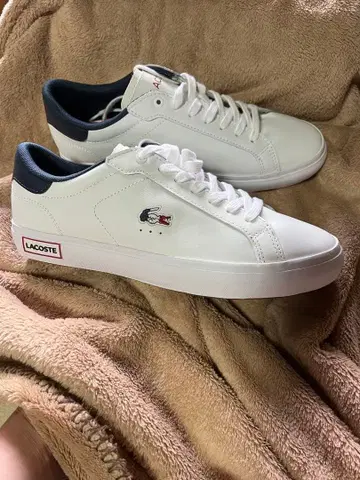 LACOSTE 라코스테 트리콜로르 스니커즈 26.5cm