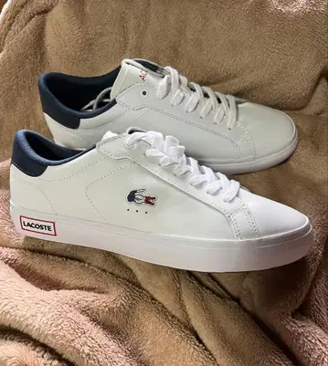 LACOSTE 라코스테 트리콜로르 스니커즈 26.5cm
