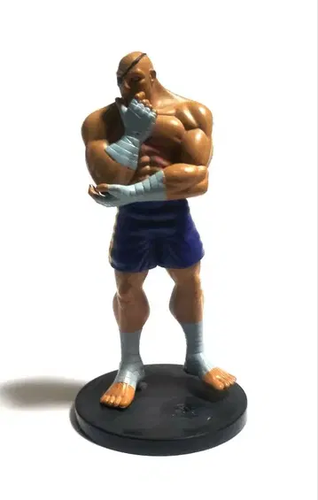 사가트 스트리트 파이터 승리 구미 (받침대 자작)