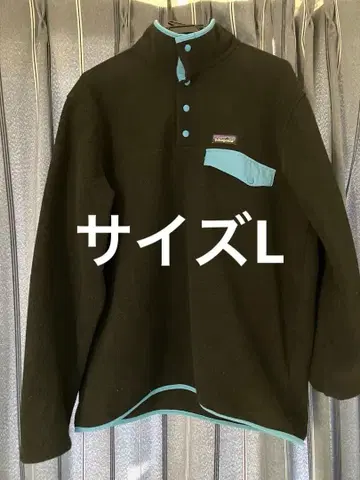 patagonia Synchilla Snap-T Pullover