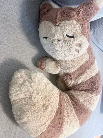 포켓몬 센터 오오타치 봉제 인형