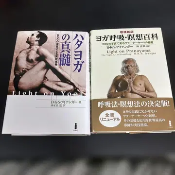 하타 요가 진수 요가 호흡 명상 백과 2종 세트
