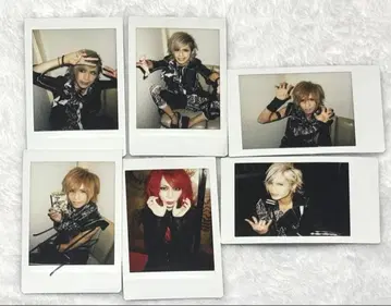 Royz 폴라로이드 세트