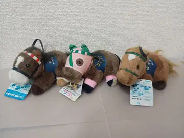 5 11/20 토카이 테이오 봉제 인형 연도 대표마 슈퍼 호스