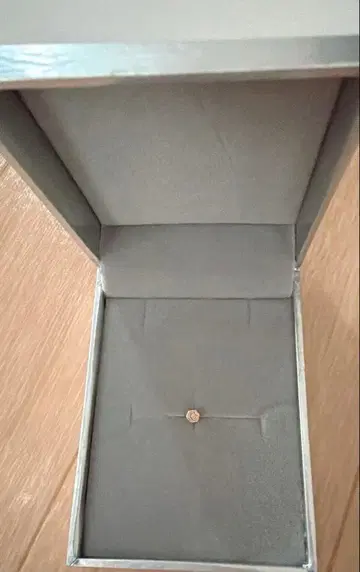 Steelgenic 귀걸이