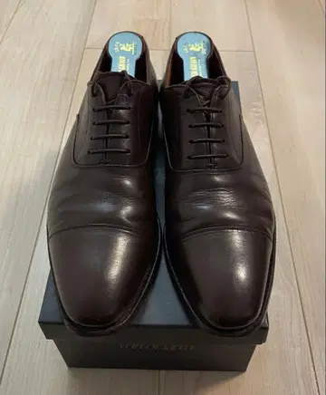 스코치 그레인 스트레이트 팁 슈트리, 박스 포함 251/2