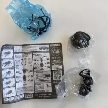 오오엔마한묘 생물대도감 장수풍뎅이 05