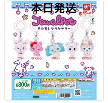 주얼펫 메지루시 액세서리 가챠 5종 컴플리트