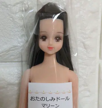 즐거운 인형 마린 리카짱 캐슬