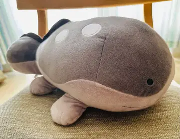 포켓몬 모후굿토 봉제 인형 도오