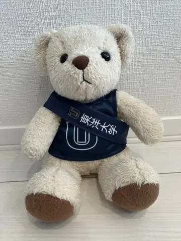 동양대학교 테디베어 봉제 인형 역전 굿즈