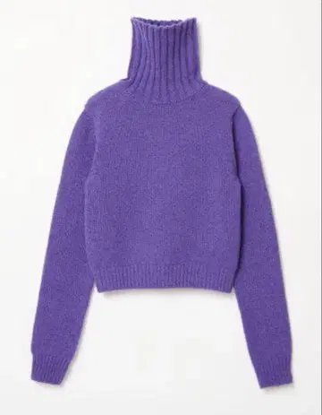 더 시시쿠이 터틀즈 퍼플