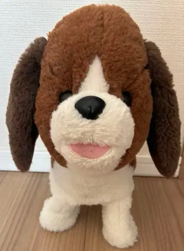 산책할 수 있는 강아지