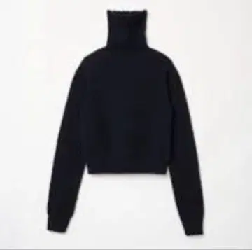 THE SHISHIKUI TURTLES 블랙