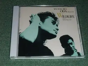 CD [ 오다 테츠로/와일드 라이프 ] WILDLIFE