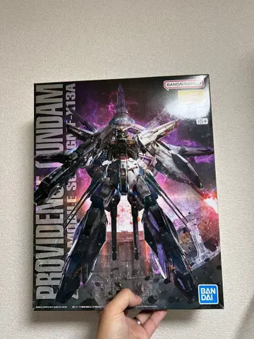 MG 1/100 프로비던스 건담