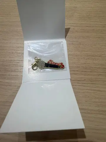 Mrs. GREEN APPLE FJORD 메탈 참 컬렉션 A