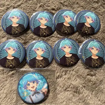 이레이스 캔뱃지 9개 세트