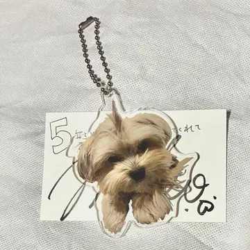 카와카미 모모코 코지 코지로 아크릴 키링