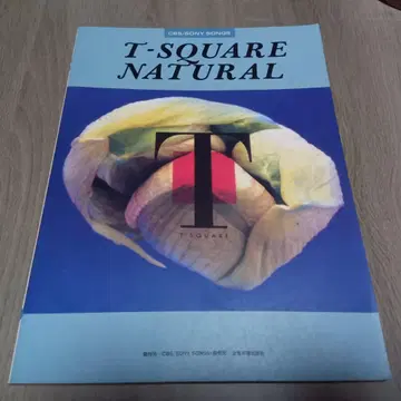 T-SQUARE NATURAL 밴드 스코어