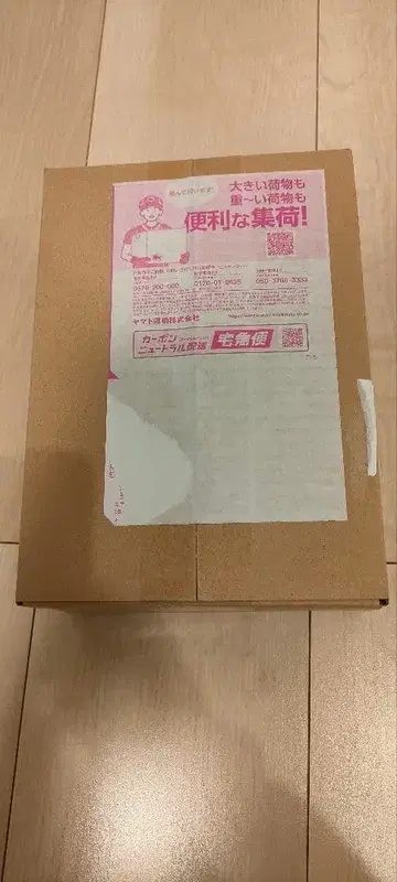 슈링크 포장 포켓몬 카드 MEGA 드림 ex