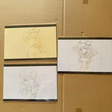 에반게리온 스토어 한정판 엽서 아스카 3장 세트