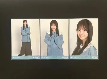 스가와라 사츠키 카라 부착 코디 컴프