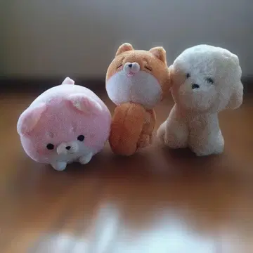 봉제 인형 세트 개