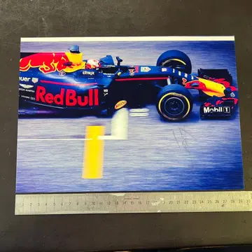 레드불 F1 시대 피에르 가슬리 친필 사인 사진
